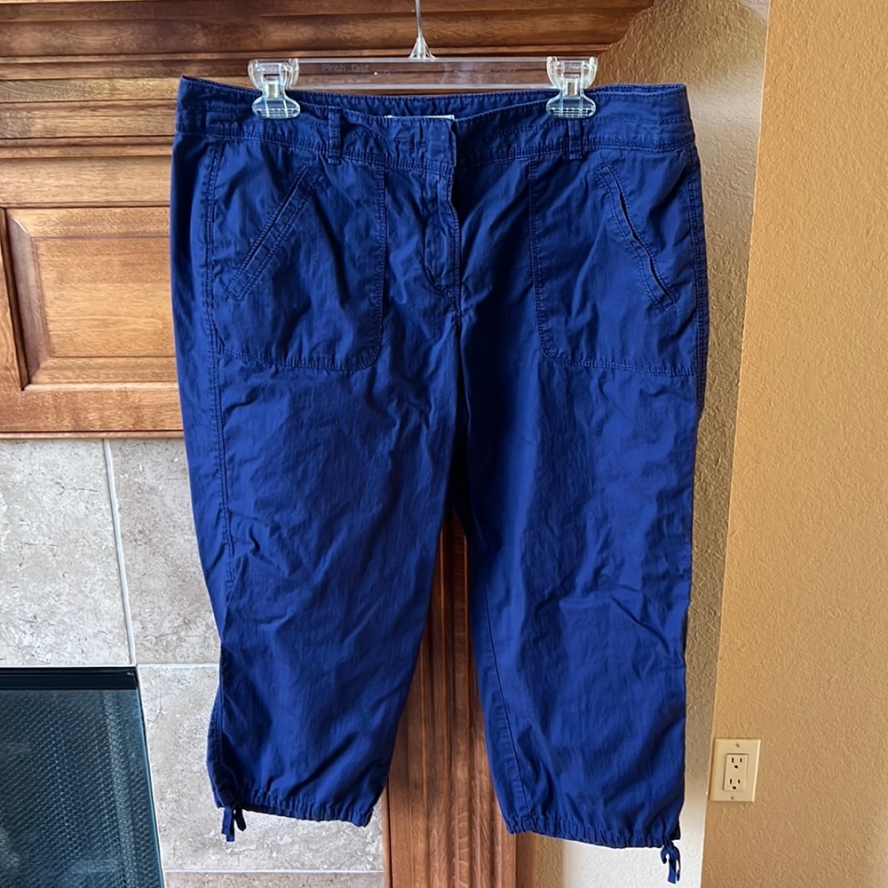 Loft blue cotton cropped pants
